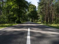 an empty, empty, street in the middle of some trees and the road is dotted with a white line