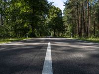 an empty, empty, street in the middle of some trees and the road is dotted with a white line