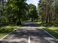 an empty, empty, street in the middle of some trees and the road is dotted with a white line