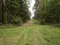 Straight Road in Berlin, Germany: A View of Agricultural Land