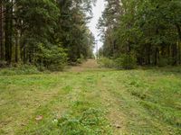 Straight Road in Berlin, Germany: A View of Agricultural Land