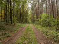 Straight Road in Berlin, Germany, Europe