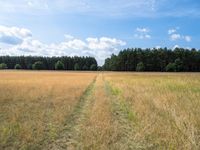 an empty field surrounded by a forest in the background with grass and trees on the other side