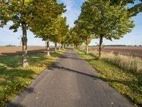 Straight Road in Berlin with Lush Green Vegetation and Clear Sky