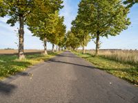 Straight Road in Berlin with Lush Green Vegetation and Clear Sky