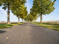 Straight Road in Berlin with Lush Green Vegetation and Clear Sky