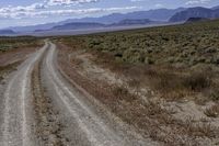 a dirt road with grass and weeds on either side of the road and dirt around it