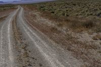 a dirt road with grass and weeds on either side of the road and dirt around it