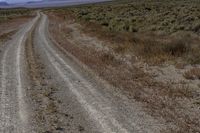 a dirt road with grass and weeds on either side of the road and dirt around it