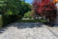 a long driveway with plants and trees lining the sides of it, near a house