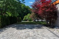 a long driveway with plants and trees lining the sides of it, near a house