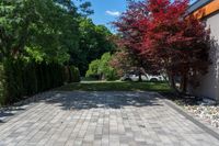 a long driveway with plants and trees lining the sides of it, near a house