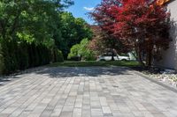 a long driveway with plants and trees lining the sides of it, near a house