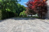 a long driveway with plants and trees lining the sides of it, near a house