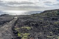 Straight Road Along the Coastal Landscape in Tenerife, Spain