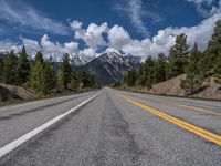 road in the mountains with pine trees and mountains in the background with blue sky with fluffy clouds