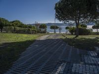 Straight Down the Road: A View of Europe's Clear Sky