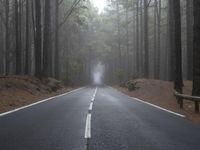 Straight Road through Foggy Forest Landscape in Tenerife, Spain