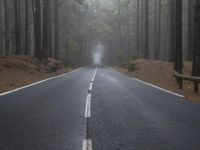 Straight Road through Foggy Forest Landscape in Tenerife, Spain