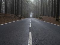 Straight Road through Foggy Forest Landscape in Tenerife, Spain