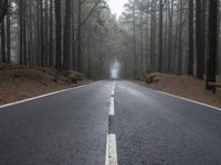 Straight Road through Foggy Forest Landscape in Tenerife, Spain