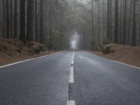 Straight Road through Foggy Forest Landscape in Tenerife, Spain