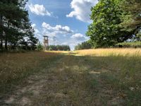 A Straight Road Through Green Fields and Forests in Berlin