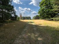 A Straight Road Through Green Fields and Forests in Berlin