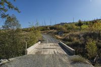 the small wooden bridge crosses a dry creek bed through a rural area in canada that has been turned into a nature preserve