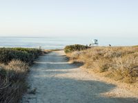 a view of the ocean from a path that leads to the beach and has a life guard stand