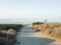 a view of the ocean from a path that leads to the beach and has a life guard stand