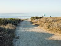 a view of the ocean from a path that leads to the beach and has a life guard stand