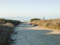 a view of the ocean from a path that leads to the beach and has a life guard stand