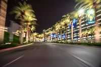 motion blurry photograph of night city street scene with palm trees in foreground and buildings