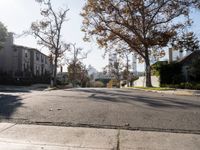 Straight Road in Los Angeles: An Urban Perspective