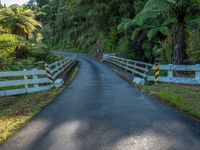 Straight Road in New Zealand's North Island