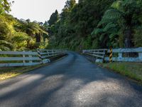 Straight Road in New Zealand's North Island