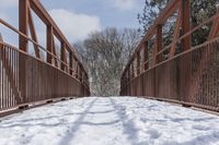 Straight Road in Ontario, Canada: A Winter Wonderland