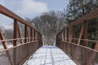 Straight Road in Ontario, Canada: A Winter Wonderland