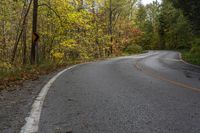 Straight Road Through Ontario Forest, Canada