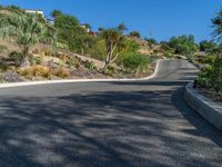 a street lined with palm trees next to a road and a hill side hillside near a town