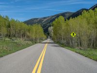 a yellow and black sign is on the street near some mountains and trees in the distance