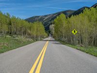 a yellow and black sign is on the street near some mountains and trees in the distance