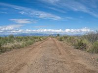 Straight Road in Rural Colorado, USA