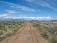 Straight Road in Rural Colorado, USA