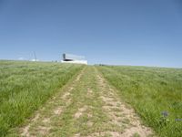 an empty grassy field that looks like it is growing in the air with a small white structure