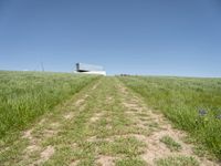 an empty grassy field that looks like it is growing in the air with a small white structure