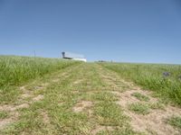 an empty grassy field that looks like it is growing in the air with a small white structure