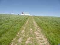 an empty grassy field that looks like it is growing in the air with a small white structure