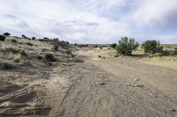 a large dirt road with some rocks and shrubs around it in the foreground of the desert